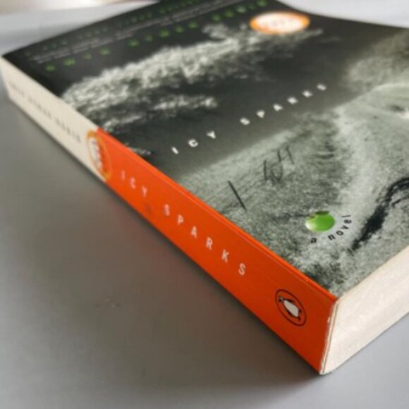 4/$30 Bundle; Novel: "Icy Sparks' (Oprah's Book Club) By Gwyn Hyman Rubio - Picture 8 of 8